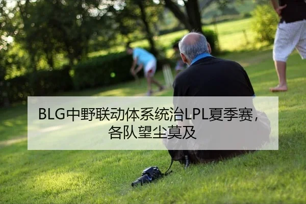 BLG中野联动体系统治LPL夏季赛，各队望尘莫及