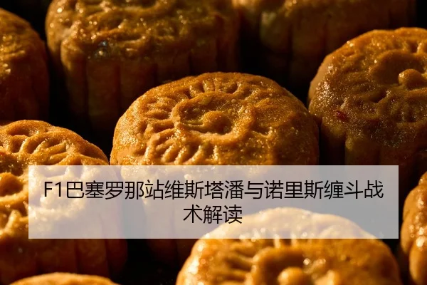 F1巴塞罗那站维斯塔潘与诺里斯缠斗战术解读