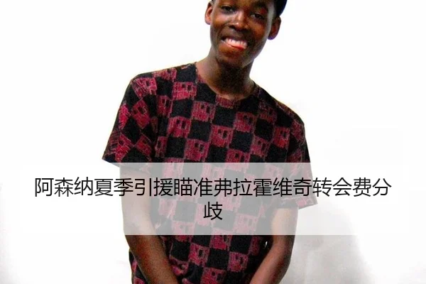 阿森纳夏季引援瞄准弗拉霍维奇转会费分歧