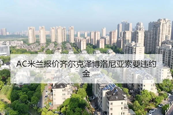 mi-lan-bao-jia-qi-er-ke-ze-bo-luo-ni-ya-suo-yao-wei-yue-jin-3-326.jpg